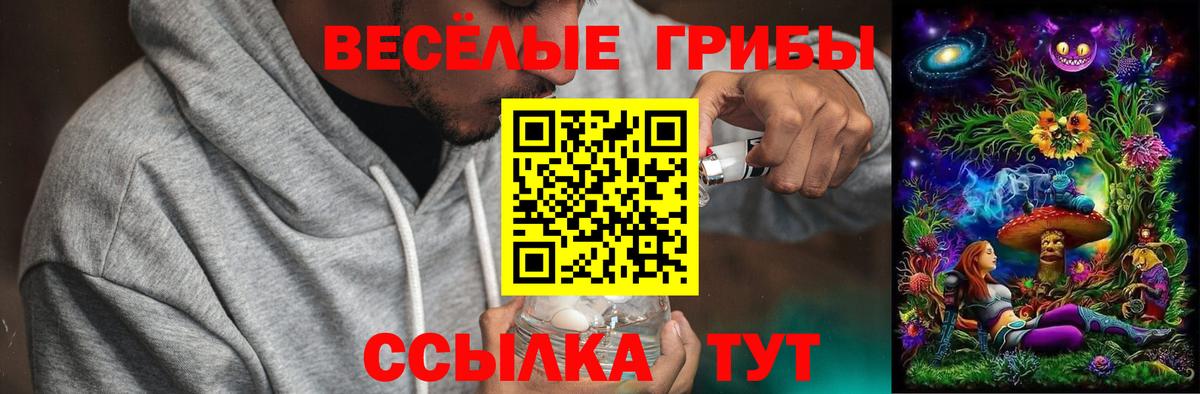 Псилоцибиновые грибы ЛСД Лысьва